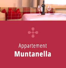 Appartement Muntanella